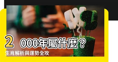 2000年屬什麼|2000是民國幾年？2000是什麼生肖？2000幾歲？